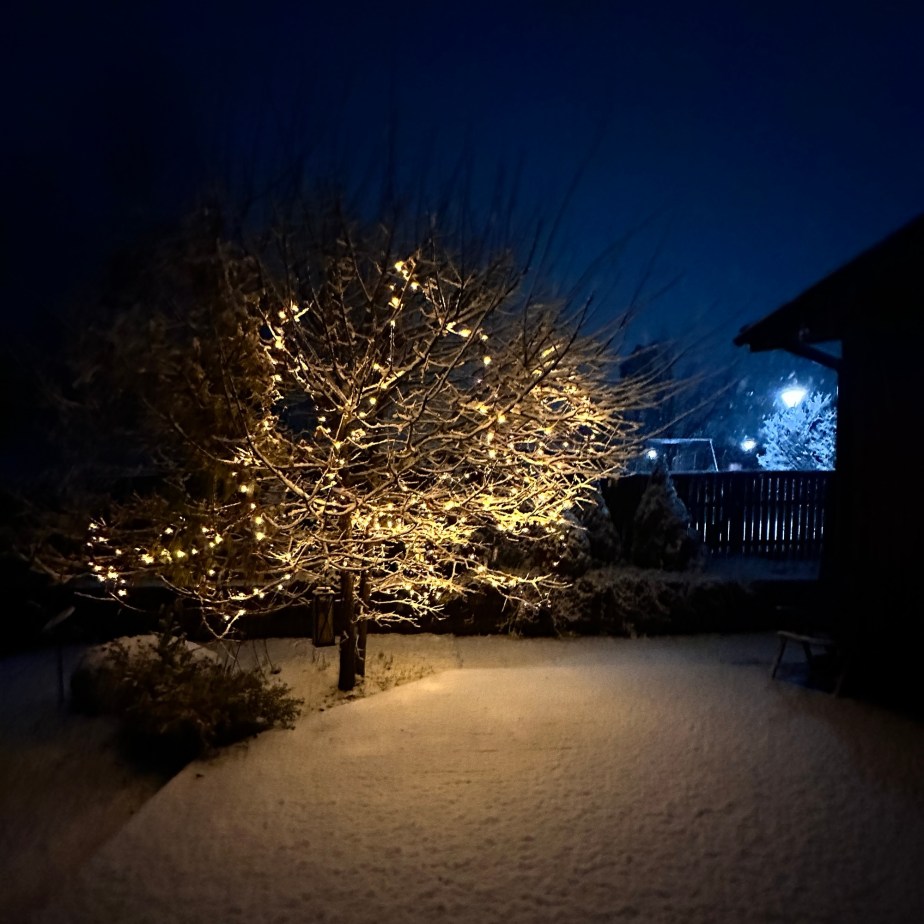 Last night we got some&nbsp;snow