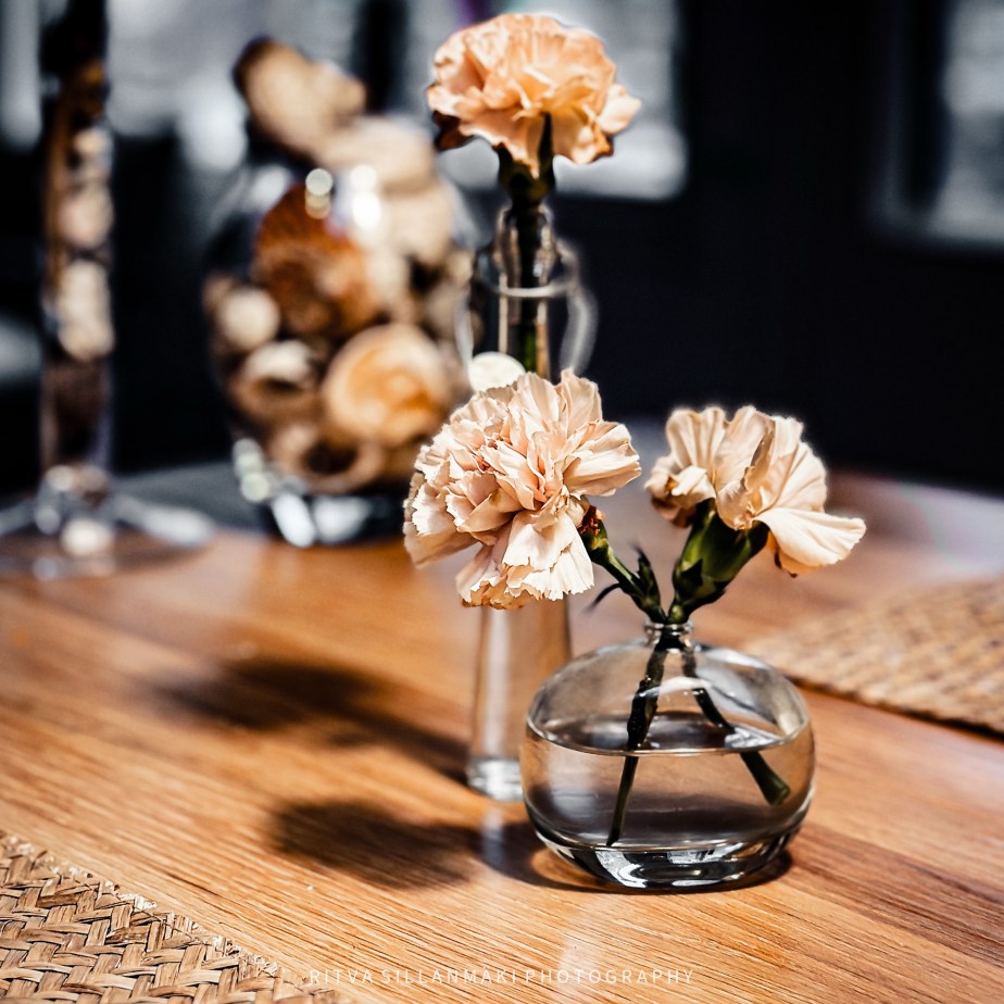 Little bits of Everyday&nbsp;Joy