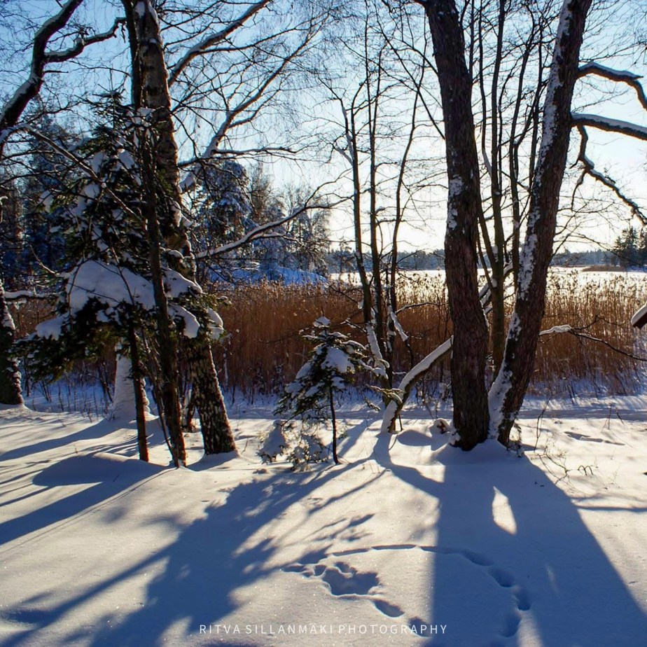 November Shadows, A Journey Through&nbsp;Darkness