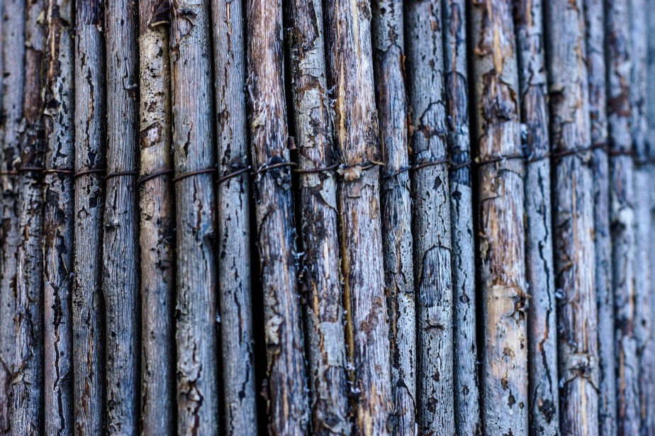 Nature’s Texture Revealed