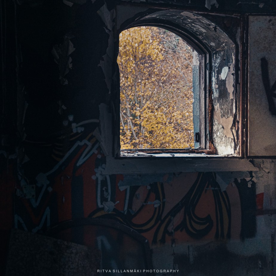 Urban Abandonment and&nbsp;Nature