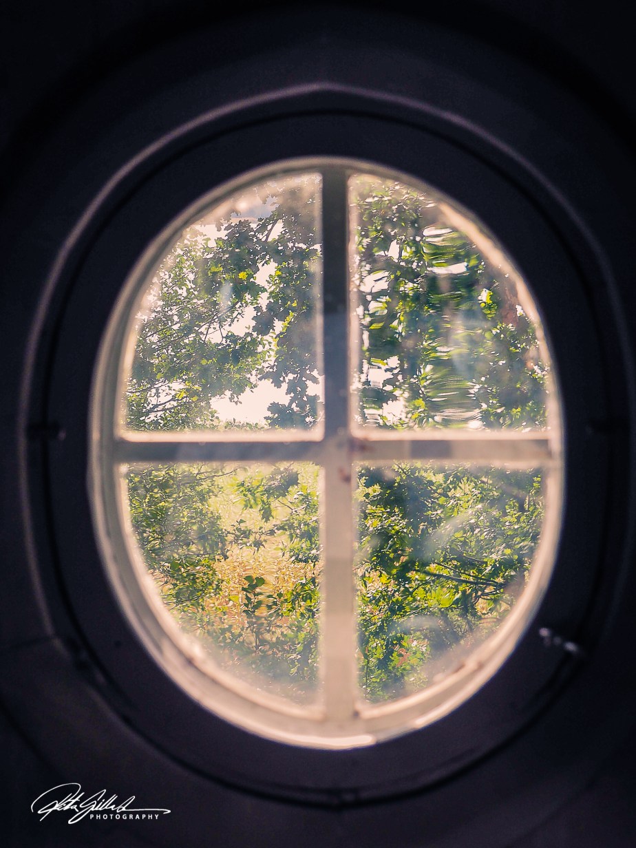 How to Survive November 2025 –&nbsp;6