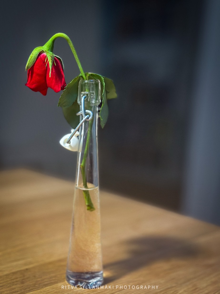 Emotional Minimalism