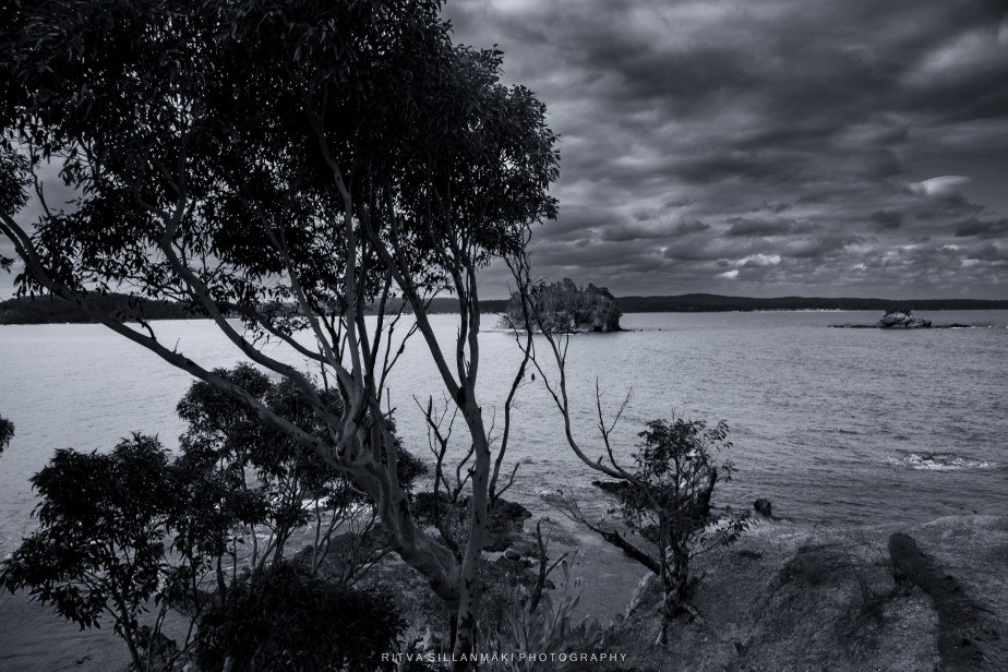 Monochrome Photography of Snapper&nbsp;Island