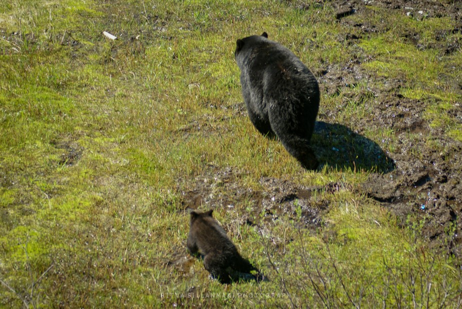 Lens-Artists #386: The Power of&nbsp;Juxtaposition