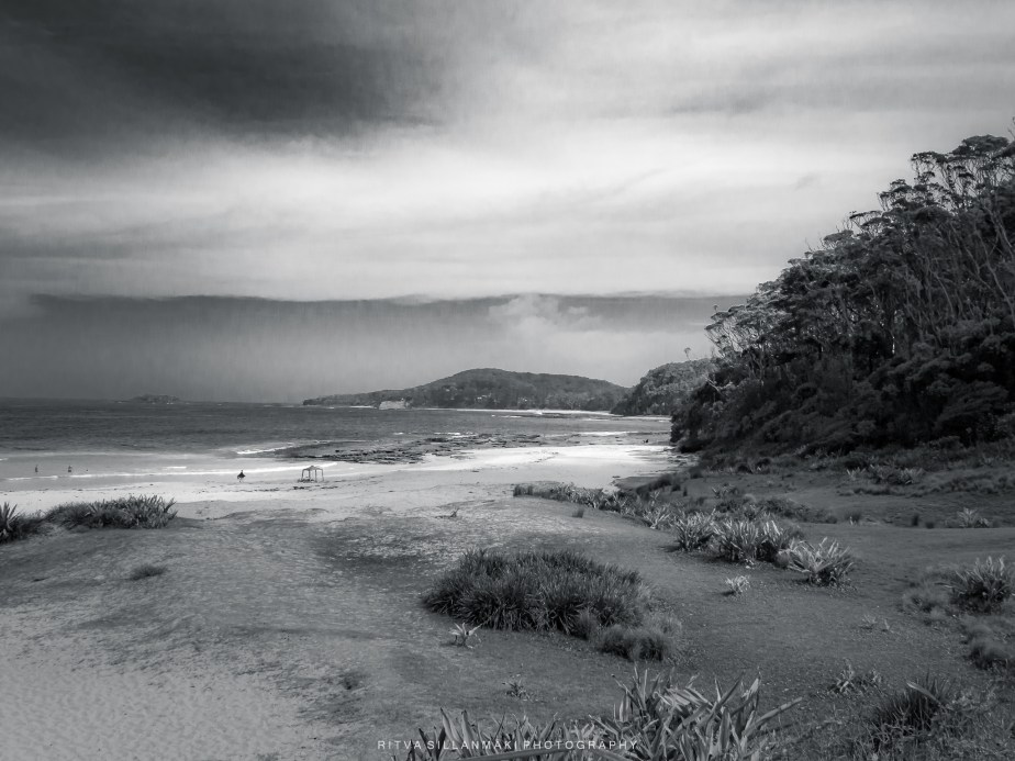 A black and white photograph of a serene beach scene, featuring sandy shores, coastal vegetation, and gentle waves lapping at the shoreline under a cloudy sky.