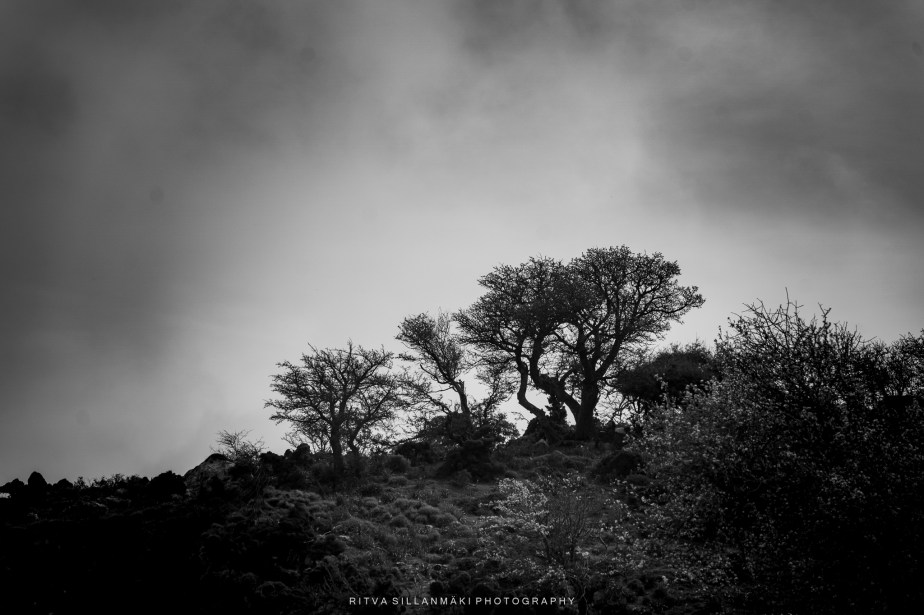 The Charm of Crete in Black and White&nbsp;Photography