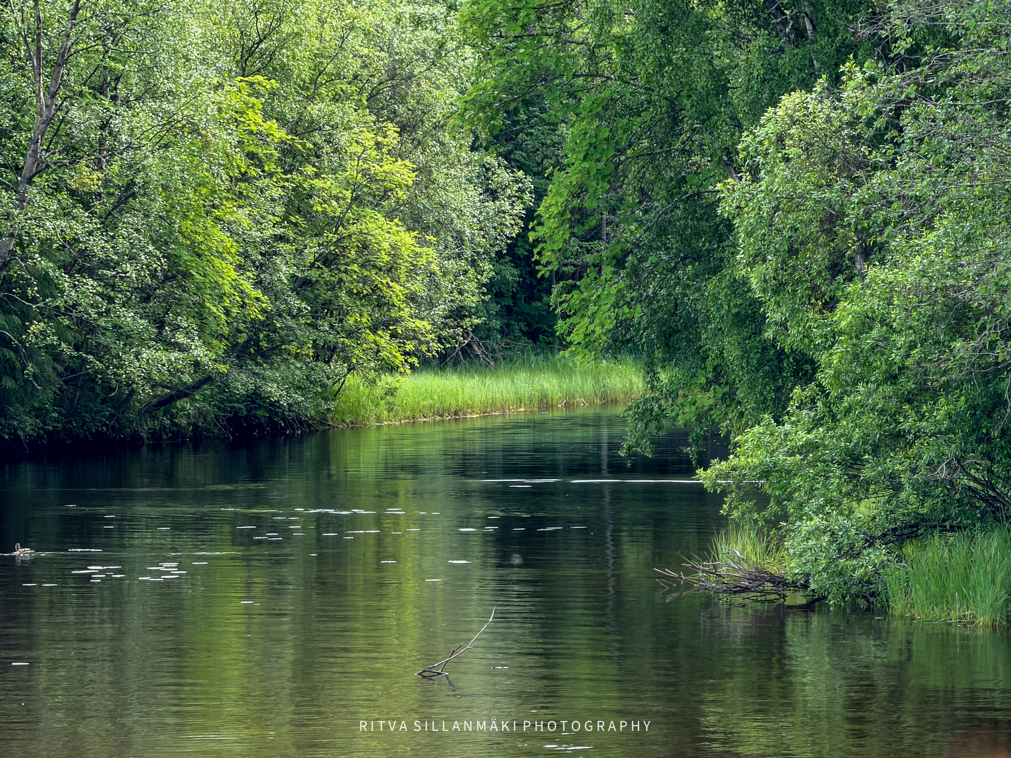 image_09e11ab9-612b-4538-b9db-0ea0bfc155c7