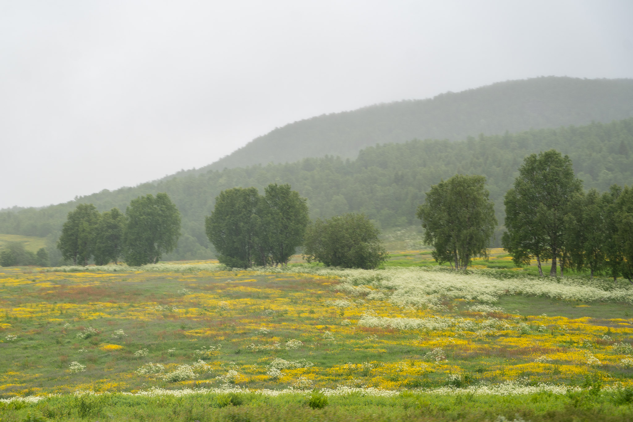 Northern Norway-371