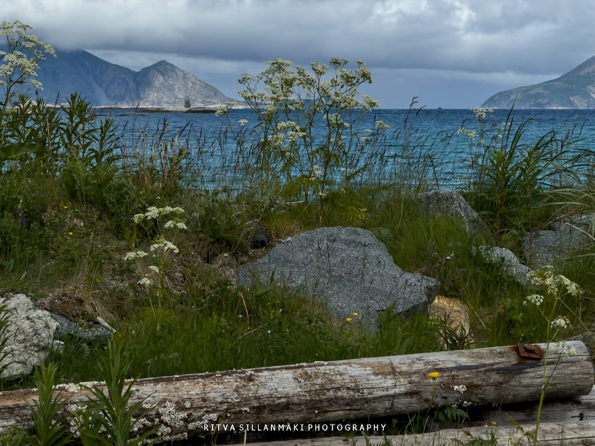 Sommarøy, Troms-32