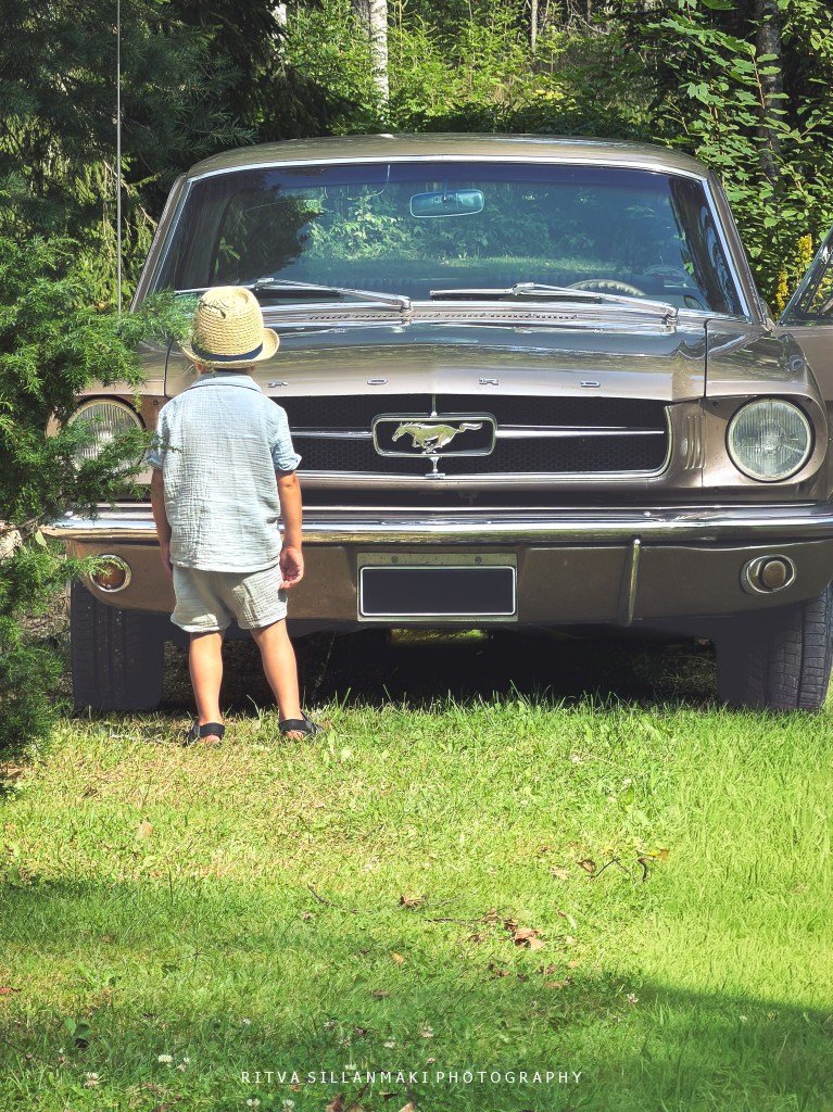 curious Boy-2