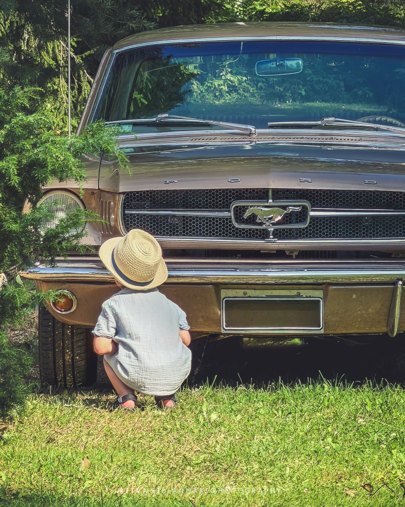 curious Boy