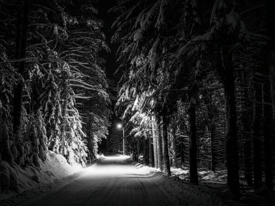 Snowy forest road illuminated at night
