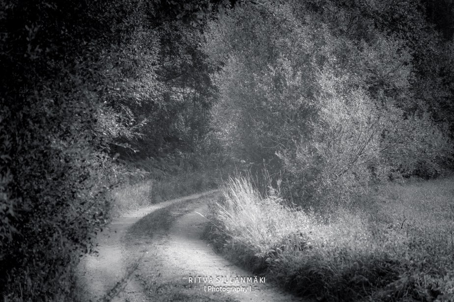 Monochrome Landscapes: Road to My Summer&nbsp;Oasis