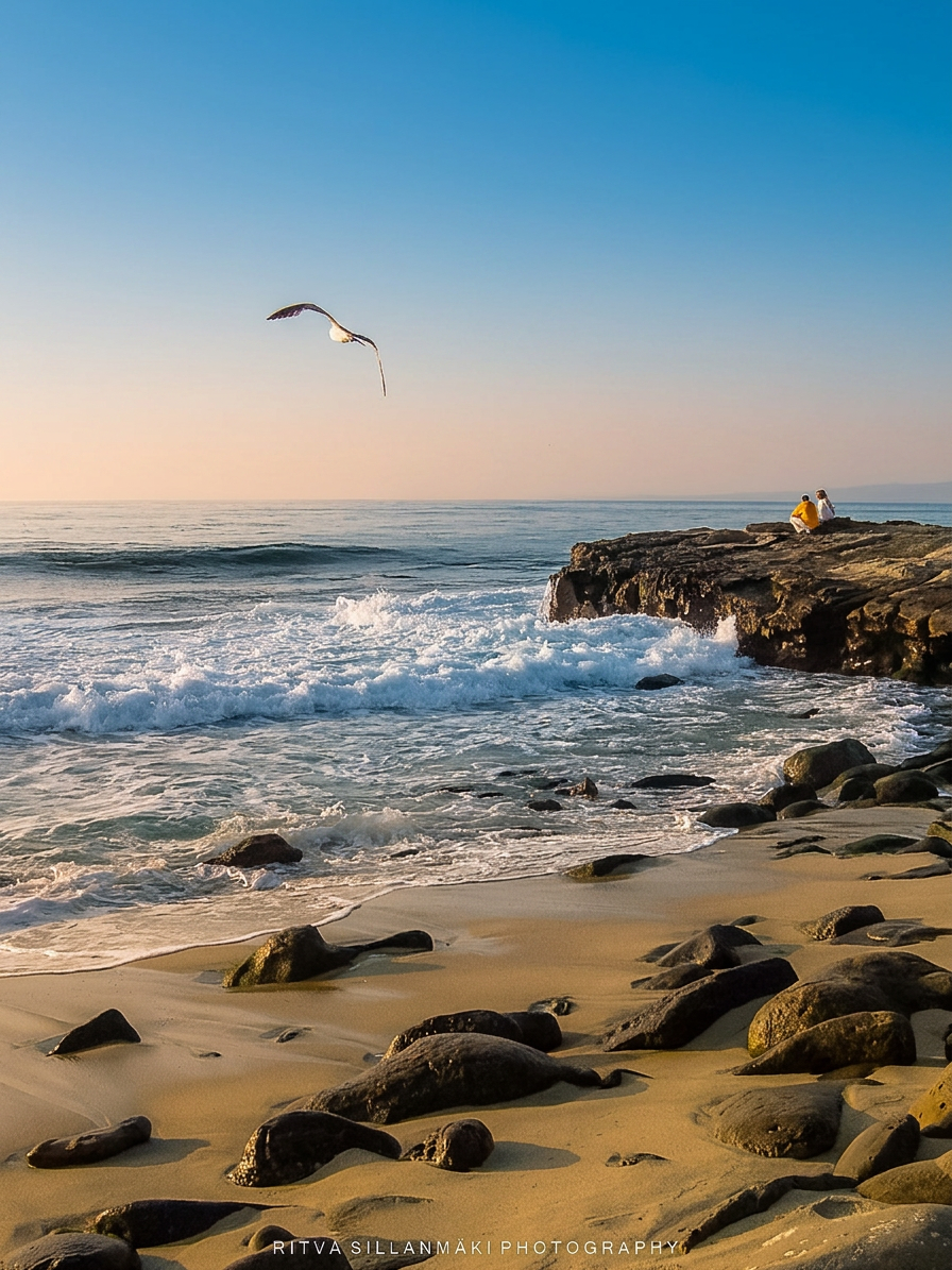 california dreaming-7