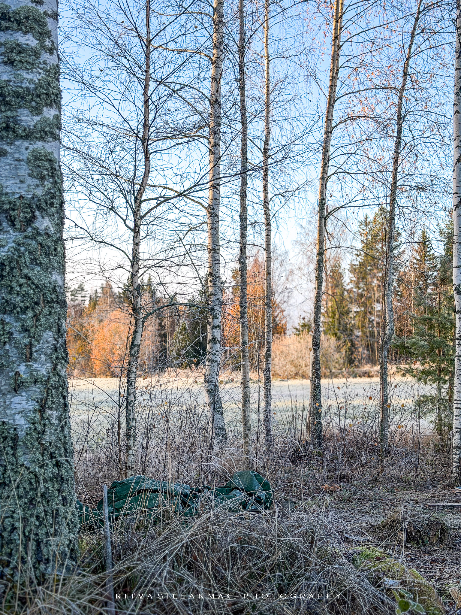 Dawn at Mettänen 20-10-26-52