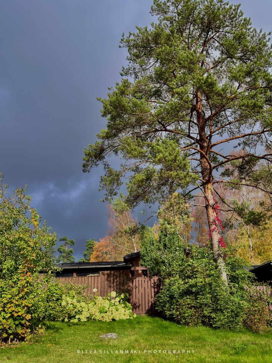 October sky