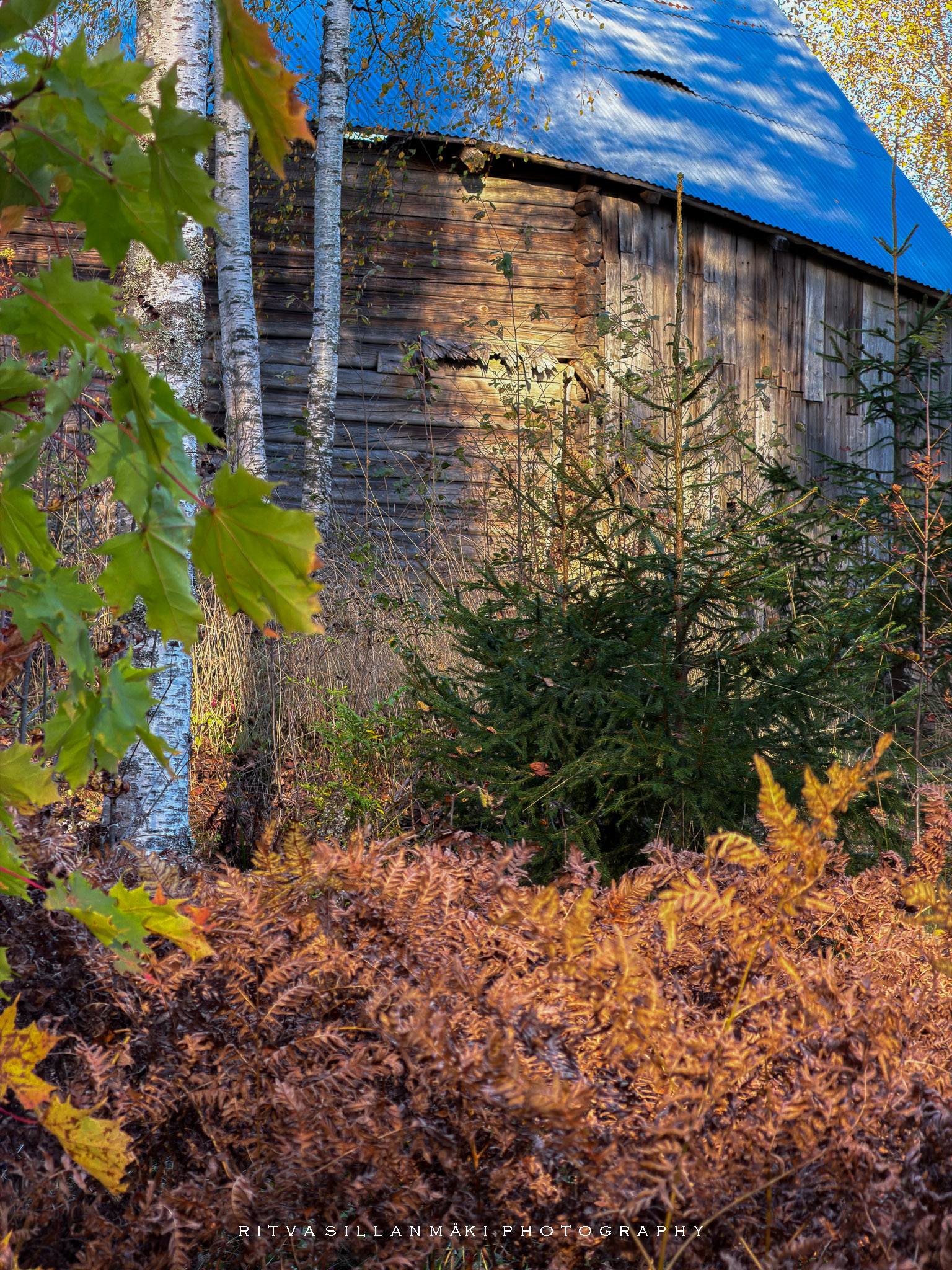 Autumn Woodland Retreat Preserving Rural Heritage